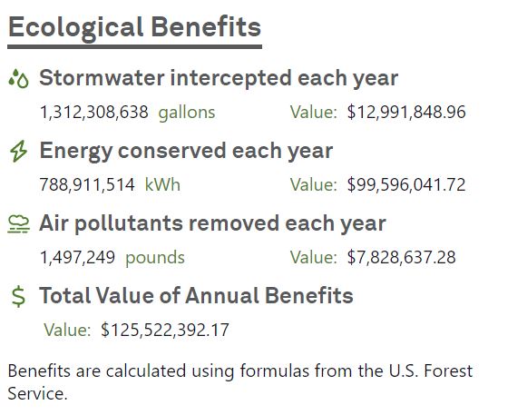 Beneficios ecológicos de la totalidad de árboles en Nueva York 