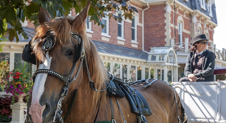 Coche de caballos