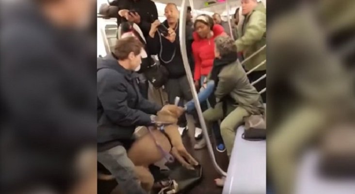 Un pitbull ataca a una pasajera en el metro de Nueva York