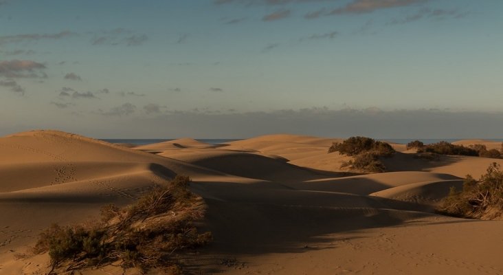 Las dunas de Maspalomas. El momento de actuar...