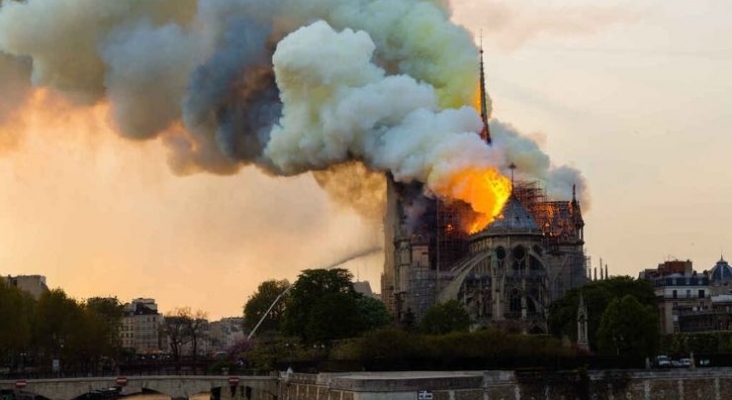 Francia tala cerca de 2.000 robles centenarios para reconstruir la aguja de Notre Dame (París) | Foto ngenespanol.com