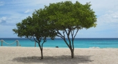 Preocupación por el escaso interés de inversores privados en proyecto turístico de Cabo Rojo (RD)  | Foto: Go Dominican Republic