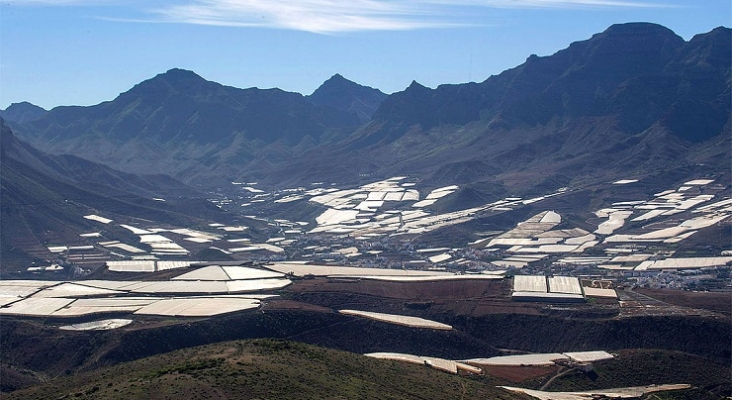 Cultivos en invernaderos en La Aldea Turismo de Gran Canaria