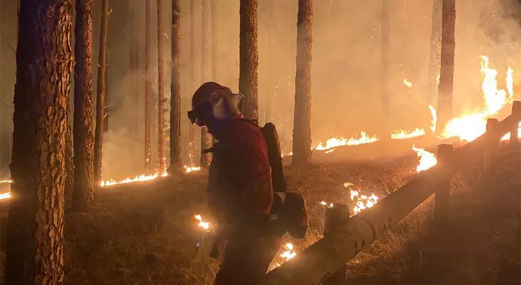 Los bomberos trabajan a marchas forzadas para sofocar las llamas del incendio originado en la madrugada del miércoles en los municipios de Arafo y Candelaria | Foto: Cabildo de Tenerife