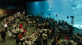 Gran gala del Día de los Océanos en el acuario Poema del Mar (Gran Canaria) | Foto: Grupo Loro Parque