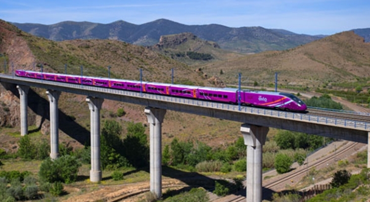 Tren Avlo sobre un viaducto ferroviario | Foto: Renfe