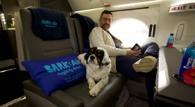 Perro viajando en cabina de avión| Foto: Bark Air