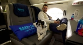 Perro viajando en cabina de avión| Foto: Bark Air